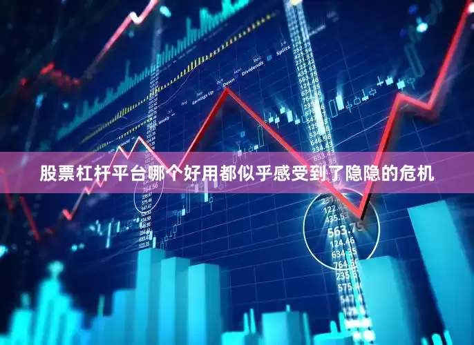 股票杠杆平台哪个好用都似乎感受到了隐隐的危机